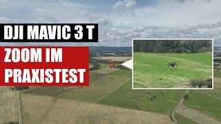 So GUT ist der 56x Hybridzoom der DJI Mavic 3 Thermal WIRKLICH  Zoom der Drohne im Praxistest