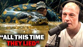 Joe Rogan - Scientists Discovered Strange Anaconda In South America