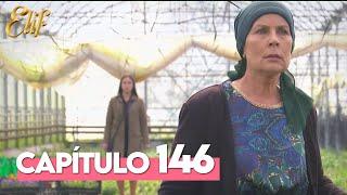 Elif Capítulo 146  Elif Temporada 1 Capítulo 146