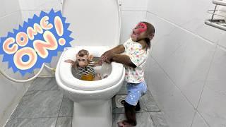 Super smart Kobi Monkey Reacts Extremely Smartly When Seeing Mon Monkey Playing In The Toilet