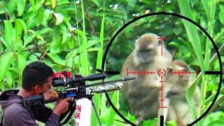 Sadistic ‼️ more and more monkey lives are being slaughteredhunting for wild monkeys