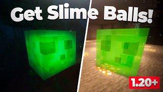  How to GET SLIME BALLS Easily in Minecraft 1.20 & 1.20.1  Java & Bedrock Find Slimes