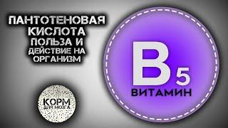 Пантотеновая кислота Витамин B5. Польза и действие на организм.