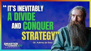 Modern Medicine and Anti-Aging ft. Dr. Aubrey de Grey  SNH Podcast #77