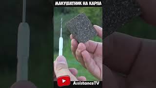 Снасть №1 для ловли карпа Макушатник на карпа - самоделки для рыбалки