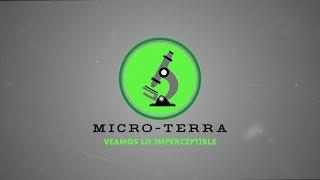 Microterra Cap 10