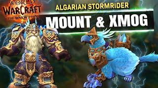 Algarian Stormrider TRANSMOG & MOUNT Guide - World of Warcraft The War Within Epic Edition Rewards