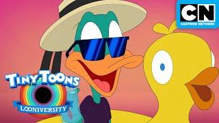 SPECIAL Spring Beak   Tiny Toons Looniversity  Cartoon Network