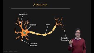 Overview  Neural Networks