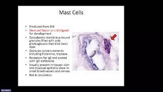 Abbas Chapter 2 Cells and Tissues of the Immune System Raje