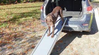 Review PetSafe Telescoping Dog Ramp