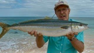 Fishing a Remote Island - Unreal