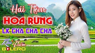 Hái Trộm Hoa Rừng LK Bolero Cha Cha Toàn Bài Hay Phối Mới Cực Chuẩn Nghe Thử Ai Dè Nghiện Luôn.