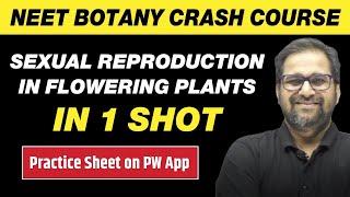 SEXUAL REPRODUCTION IN FLOWERING PLANTS in One Shot - All Theory & PYQs  Class 12  NEET