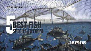 Exploring the World of Fish Farming Techniques Sustainability and Benefits