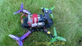 F3 Radiance dshot 150 Blackwidow 260 maiden flight