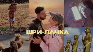 ШРИ-ЛАНКА vlog  наш обычный отдых Александр Маршал обезьяны ящерицы вараны