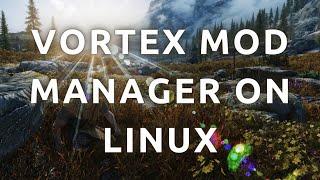 How To Install and Use Vortex Mod Manager On Linux - Complete Guide