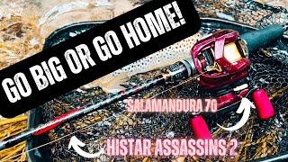 Go big or go home episode 2  Histar Assassins 2  Daiwa Salamandura