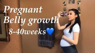 PREGNANT BELLY PROGRESSION first pregnancy 