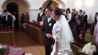 Best Wedding Fails Compilation