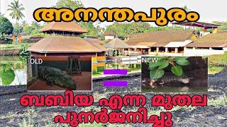 അനന്തപുരം പുതിയ മുതല എത്തി. ഈ അത്ഭുതം കാണാൻ ഭക്തരുടെ തിരക്ക് Bibukababiyaananthapuram lake temple