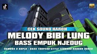 HADROH MELODY BIBI LUNG KOPLO BASS BLEYER BLEYER VIBES  2024