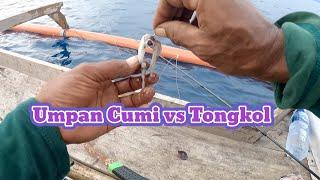 Umpan Cumi vs Tongkol buat mancing dasaran selalu strike dobel @omblackfishing8118