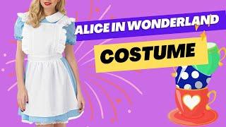 Whimsical Alice in Wonderland Costume Try On & Review