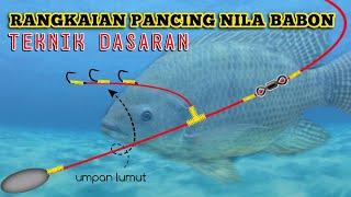 CARA MEMBUAT RANGKAIAN PANCING IKAN NILA BABON UMPAN LUMUT - TEKNIK DASARAN