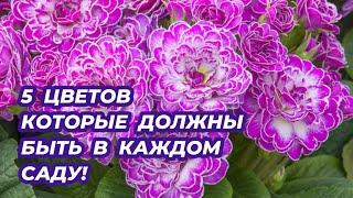 5 цветов которые обязательно должны быть в каждом саду