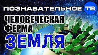 Человеческая ферма Земля Познавательное ТВ Артём Войтенков