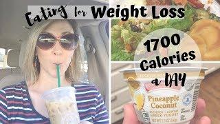 WHAT I EAT TO LOSE WEIGHT  COUNTING CALORIES