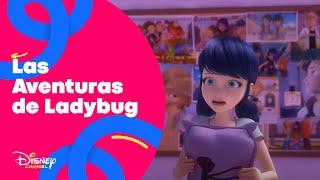 Las aventuras de Ladybug - Avance exclusivo Una difícil decisión  Disney Channel Oficial