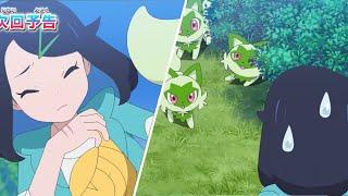 Likos Sprigatito Lose - Pokémon Horizons Episode 39【AMV】- Pokémon Horizons The Series