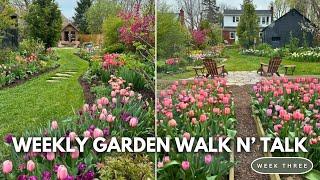 APRIL GARDEN TOUR 2024  Spring Bulb Tour  Weekly Garden Walk N Talk  Northlawn Flower Farm