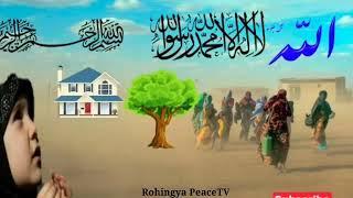 Rohingya Waz Muslim