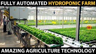 FULLY AUTOMATED HYDROPONIC FARM  Modern Hydroponic Farming  Amazing Agriculture Technology