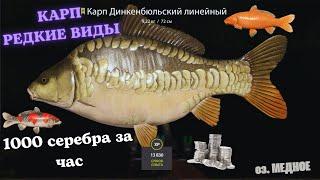 РЕДКИЕ ВИДЫ МЕГА ФАРМ 1000+ ЧАС на МЕДНОМ в Русской Рыбалке 4 РР4