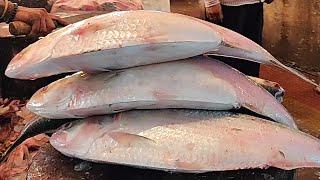 2 Kg Big HilsaIlish Fish Cutting In Bangladesh Fish Market  Fish Cutting Skills