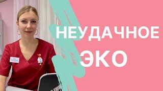 Что делать если не получилось первое ЭКО?