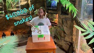 Unboxing a $40000 box of snakes?? NOT Click Bait?? 