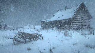 Calming Wind and Snowstorm Sounds for Sleep  Winter Storm Blizzard  Frosty Wind Ambience