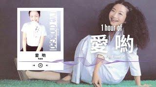 陶晶瑩【愛喲】1 Hour Loop Music ️一小時循環播放️