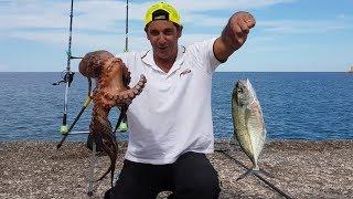 incredibile pesca a caccia di orateinvece? big polpo e  big carangide fishing with bobbit worm