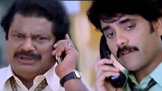 Comedy Scene Between Nagarjuna & Darmavarapu Subramanyam  Telugu Movie Comedy Scenes  Annapurna