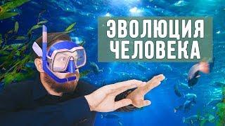 НАШИ ПРЕДКИ РЫБЫ?  История развития человека