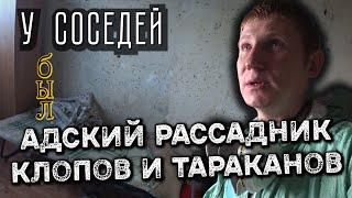 Клопы и тараканы у соседей огромный очаг — как решилась проблема