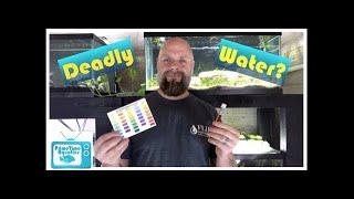 The Silent Killer - Nitrates in Your Fish Tank  What to Do About Them