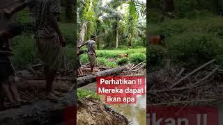 Perhatikan  mereka dapat ikan apa  malah lepas #viral #shortvideo #fish #mancing #fishing